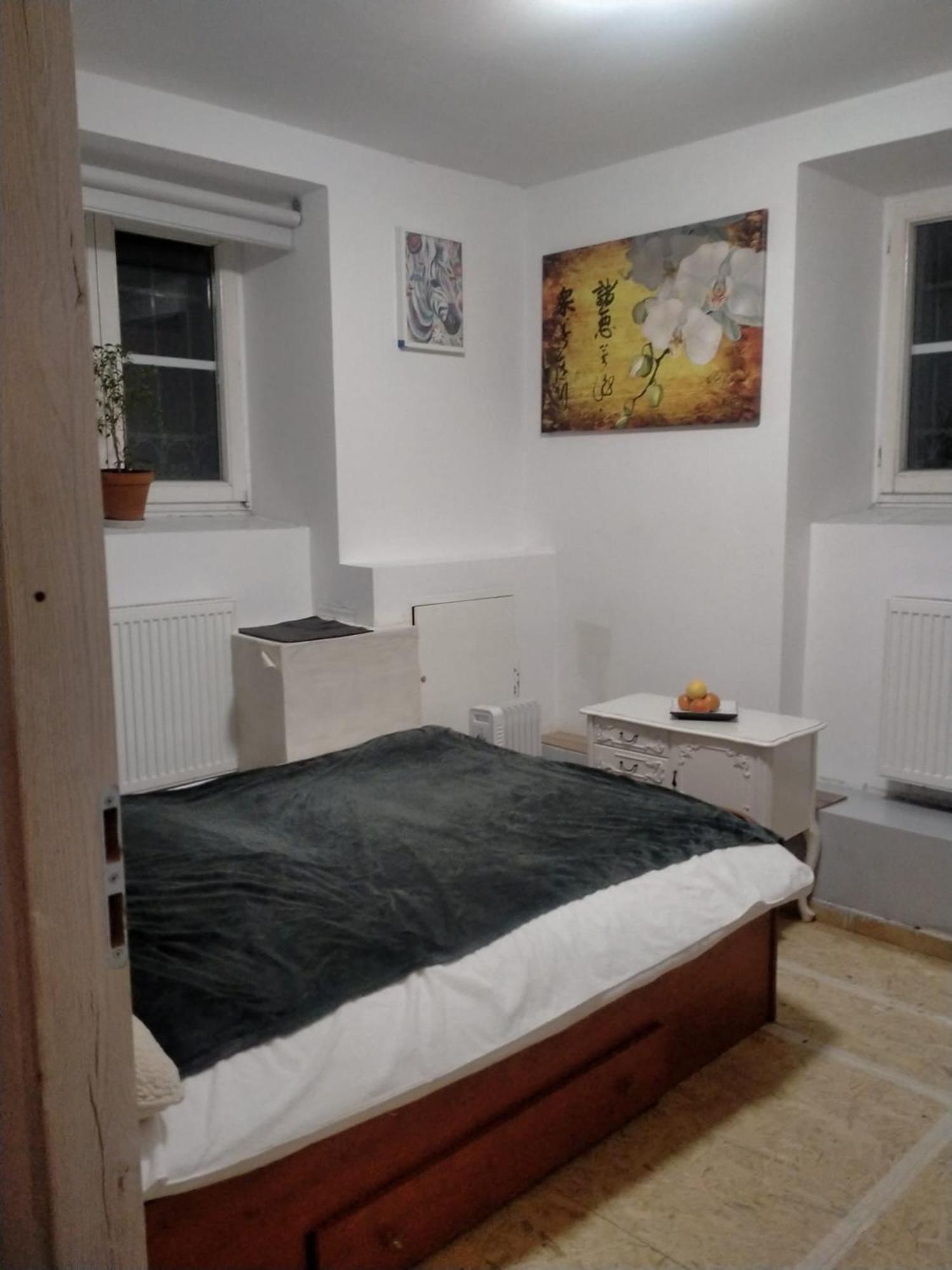 Hostel Lemon Tree Krakau